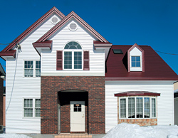 Examples of ZEON Siding on New Housing 1