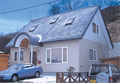 Examples of Houses Remodeled with ZEON Siding 1